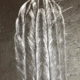 Órgano